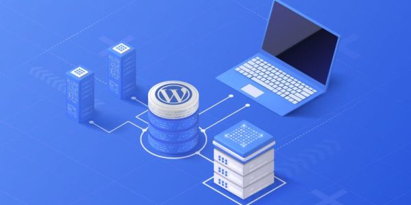wordpress can be used on which sites